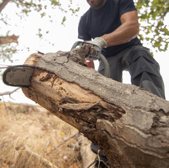 closeup-lumberjack-with-chainsaw-forest