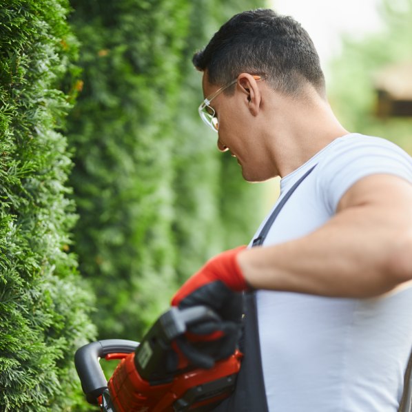 gardener-safety-glasses-gloves-pruning-hedge